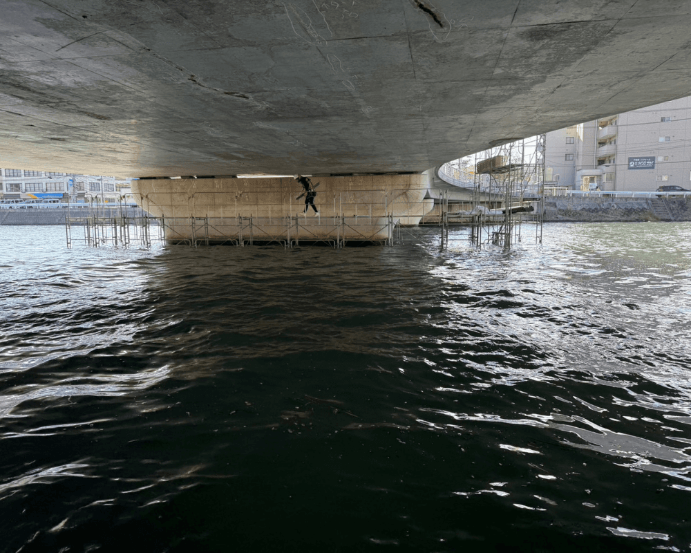 海田駅前 ひまわり大橋 - 画像4