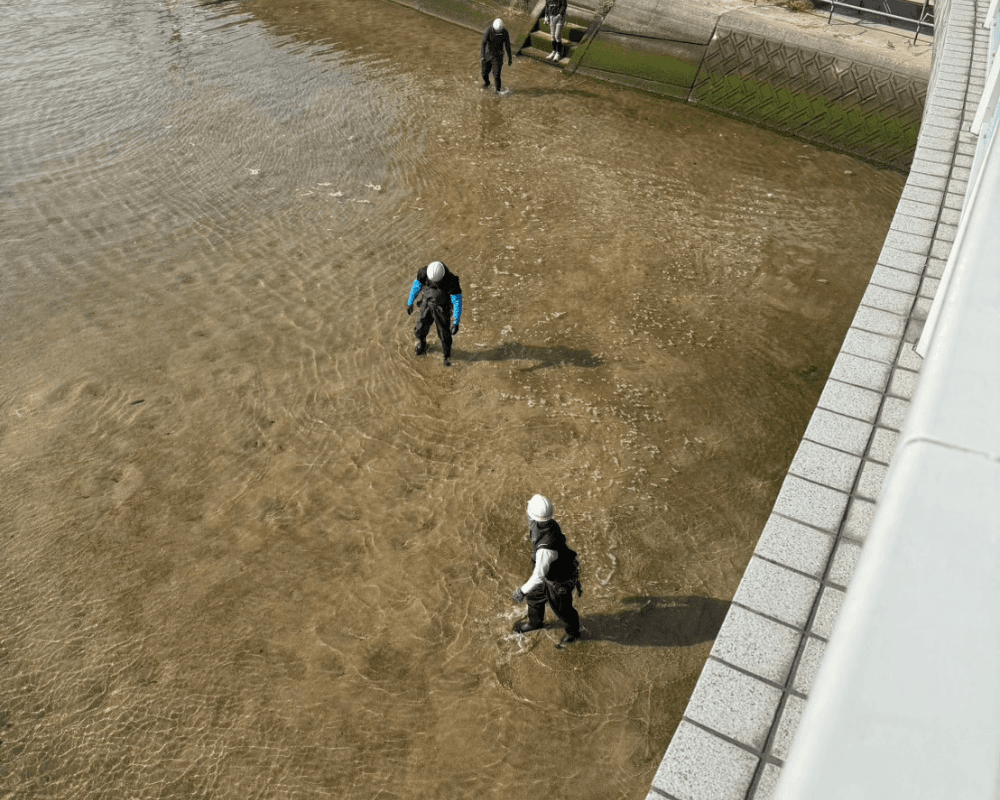 海田駅前 ひまわり大橋 - 画像6